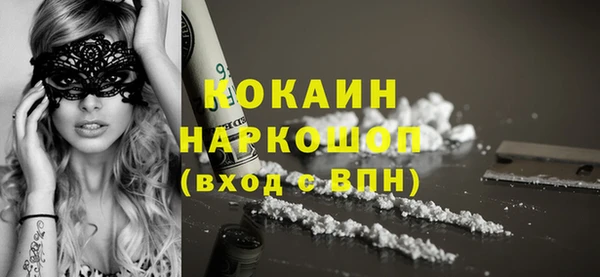 дурь Няндома