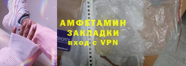 дурь Няндома