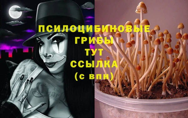 mdma Саяногорск