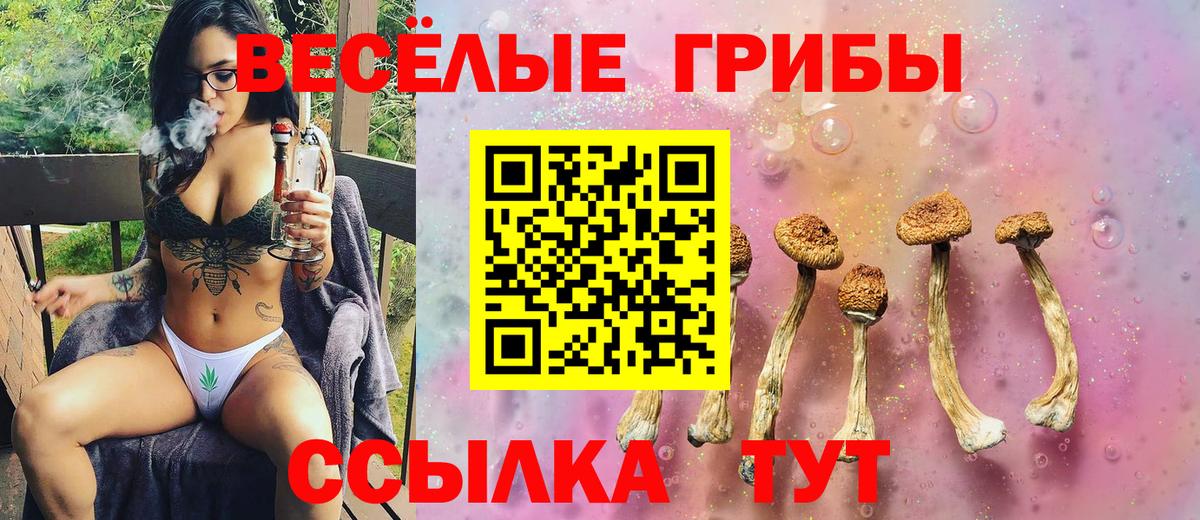 Грязи  Вход с VPN  COCAIN  Мефедрон   Метамфетамин  НБОМе  ГАШИШ  APVP СК   Наркошоп  Каннабис 