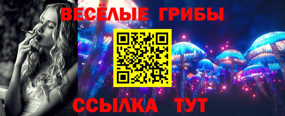 Псилоцибиновые грибы Cubensis  Вход с VPN  Грязи  Галлюциногенные грибы мицелий 